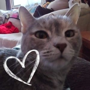 Meet your Posher, Jackie